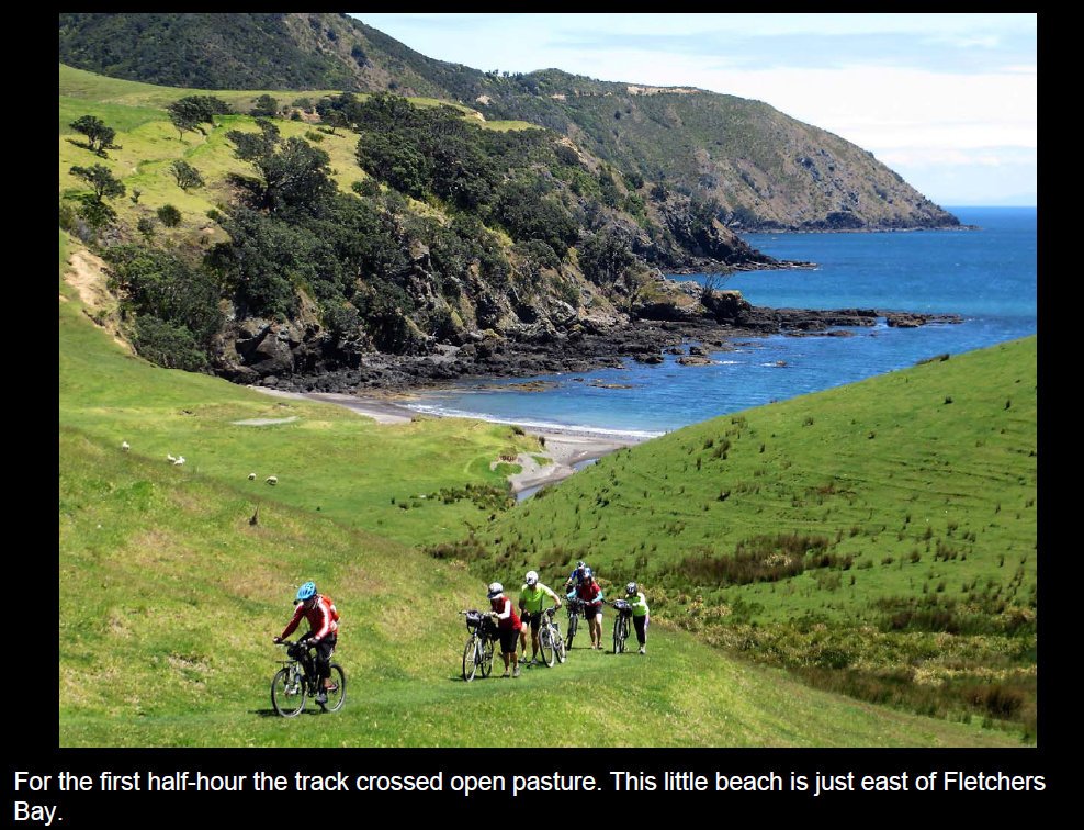 coro201517.jpg (255529 bytes)